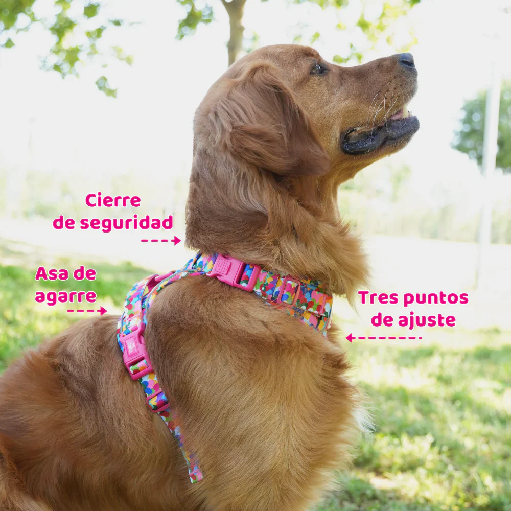 Imagen del producto 11